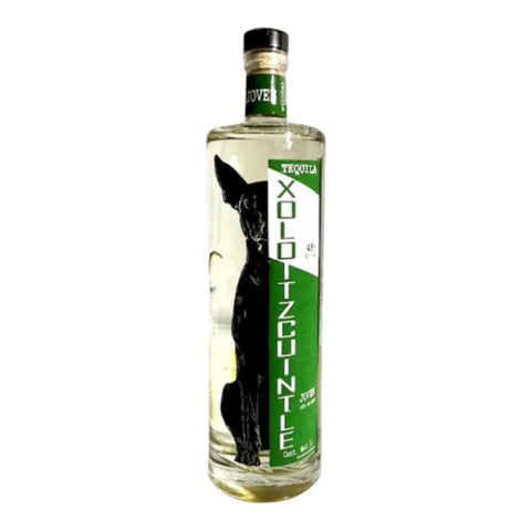 Xoloitzcuintle Joven